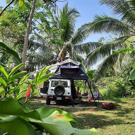 La Munequita Lodge 1 - Culture & Nature Experience Palmar Norte Zewnętrze zdjęcie