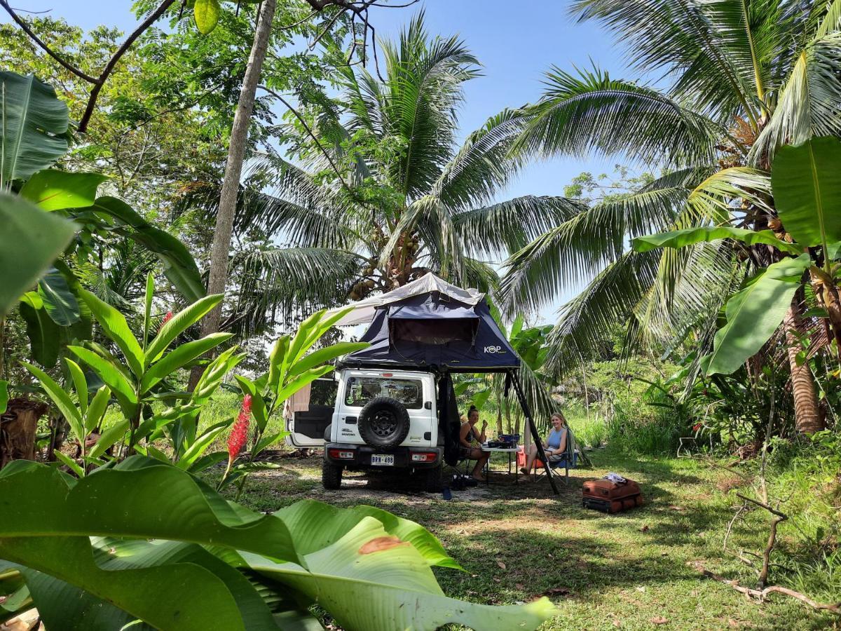 La Munequita Lodge 1 - Culture & Nature Experience Palmar Norte Zewnętrze zdjęcie